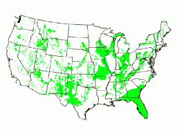 sinkhole science is actually quite