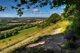 Support community nature recovery projects Surrey Hills Society Discover And Help Conserve Our Area Of Outstanding Natural Beauty