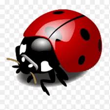 En lady bird, greta gerwig revela su nueva y audaz voz cinematográfica con su debut como directora, ahondando tanto el humor como el dramatismo en el. Ladybird Insect Luck Family Insect Animals Family Png Pngegg