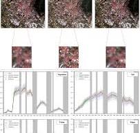 Improving PRISMA hyperspectral spatial resolution and ...