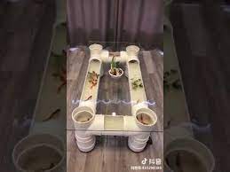 Maybe you would like to learn more about one of these? Pvc Pipe Fish Tank Coffee Table Diy Novocom Top