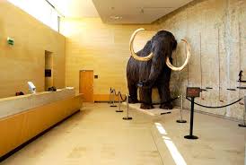 Dossier pédagogique une vie de mammouth. Felix Le Mammouth Musee National De Prehistoire