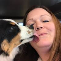 807 west state street, o'fallon, il 62269. Krista M Bowen Dvm Associate Veterinarian O Fallon Veterinary Medical Center Linkedin