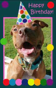 Cuban rapper pitbull turned 39 on wednesday. Pin By Melissa Dowling On Happy Birthday Anniversary Whatever Happy Birthday Pitbull Happy Birthday Dog Happy Birthday Qoutes