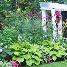 In ecology, shade tolerance refers to a plant's ability to tolerate low light levels. Best Plants For Clay Soil