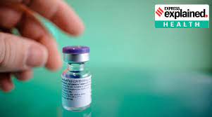 The territory's cutest dog for 2021: Why Pfizer S Covid 19 Vaccine Is Not Top Of India S Wishlist