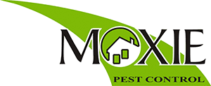 Check out moxie pest control reviews posted by real employees. Moxie Pest Control Extermination Grain Valley Mo