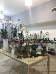 Thank you miami for selecting us as the favorite flower shoppe and have the honor to do all the floral arrangements for queen sophia of spain during her last visit. Flowers Services Inc 6600 Coral Way Miami Fl 33155 Usa