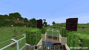 Cactus blocks have a hidden growth variable that starts at 0 and goes up to 15, incrementing by one each time a random update tick happens to it. How To Build A Cactus Farm In Minecraft