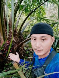 reelsvideo #fypkonten Saos homemade 🤔