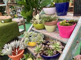Conveniently shipped to your home. South Phoenix Garden Plant Nurseries Whitfill Maya S Plant Stand Phoenix New Times