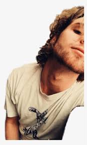 Get inspired by our community of talented artists. Luke Hemmings Png Images Png Cliparts Free Download On Seekpng