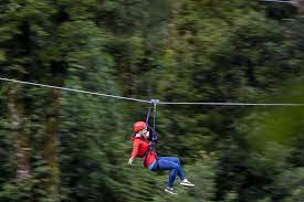 Rotorua Canopy Tours