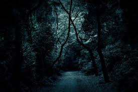 木々の中の薄暗い道- フリー素材 ぱくたそ