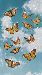 Bellas Mariposas Para Fondo De Pantalla Fondos De Pantalla Reggae Hacer Fondos De Pantalla Fondos De Pantalla De Iphone