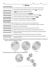 11.4 meiosis phases of meiosis answer. 11 4 Ws Answers Doc Answers 11 4 Meiosis Chromosome Number For Questions 18 Write True If The Statement Is True If The Statement Is False Change The Course Hero