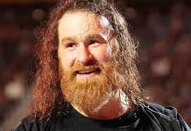 What Is Sami Zayn's Real Ethnicity? The Star's Origin Decoded