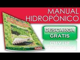 Curso De Hidroponia Descargable Y Gratuito Youtube Hidroponia Hidroponia Casera Jardineria Hidroponica
