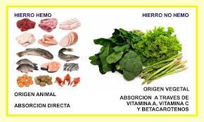 Dieta Para Embarazadas Dieta Para Embarazada Jugos De Desintoxicacion Dietas