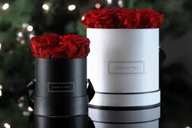Check spelling or type a new query. Infinity Collection Fleurs De Paris