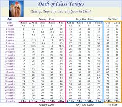 Check out our newborn kitten progression chart. Cat Weight Chart Pounds News At Cats Www Addlab Aalto Fi