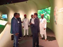 The National Agency for The Great Green Wall