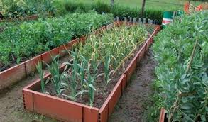 15 Formas Y Materiales De Hacer Un Bancal Elevado En El Huerto Ideas Verdes Jardin De Vegetales Como Hacer Un Huerto Huerto