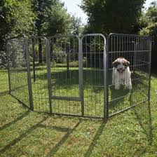 Dogwatch is a pro line electric dog fence only available through local dealers, to purchase a system in northern ireland contact jason on 07719 222 388 or from the south of ireland on +44 7719 222 388 Dog Kennels Dog Houses Dog Flaps On Sale At Zooplus