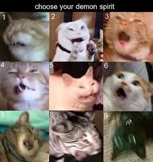 Choose Your Demon Spirit Really Funny Memes Funny Animal Memes Animal Memes