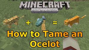 Cats have been in minecraft for what seems like forever, but the ability to have up to 10 cats in a single village is pretty new. Minecraft Xbox 360 How To Tame An Ocelot Tu12 Is Out Youtube