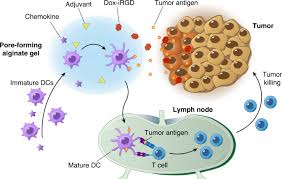 If you are on a cusp, use the free horoscope to find your decan. Biomaterial Based Scaffold For In Situ Chemo Immunotherapy To Treat Poorly Immunogenic Tumors Nature Communications