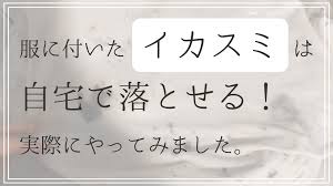 イカスミ 洗濯
