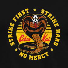 Pin En Karate Kid Cobra Kai