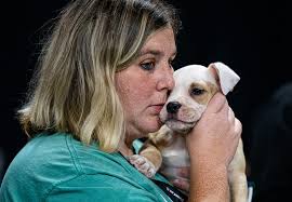 puppies adopted luckys mutt madness