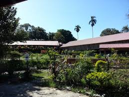 Km 17, jalan ranau/sandakan kampung nalapak beg berkunci no.2, 89309, ranau, sabah, malaysia. Script Async Async Src Pagead2 Googlesyndication Com Pagead Js Adsbygoogle Js Script Script Adsbygoogle Window Adsbygoogle Push Google Ad Client Ca Pub 8298637322134543 Enable Page Level Ads True Script Sabah Tea