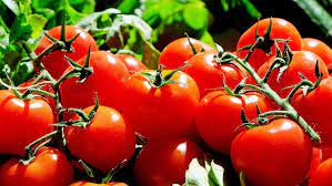 Este un primer, dar și o cremă pentru protecție solară în același timp. Cultura De RoÈ™ii In GradinÄƒ È™i Solarii Plantare Ingrijire È™i DÄƒunÄƒtori Basf Agricultural Solutions Romania