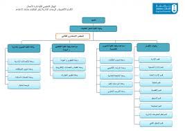 هيكلة الوكالة كلية إدارة الأعمال