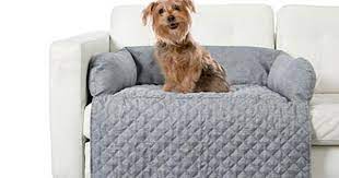 We did not find results for: Kmart S Best Pet Accessories From Carriers To Clothing Homes To Love
