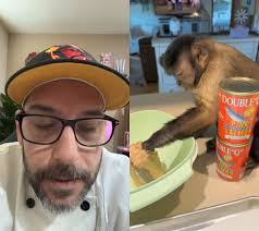 🐒 business #chef #chefreactions #reels