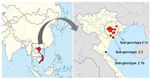 Since asf appeared in georgia in 2007 as a result of the transcontinental spread of genotype ii asfv isolates originally from southeast africa, the disease has spread like wild. Pathogens Free Full Text Pathogenicity And Genetic Characterization Of Vietnamese Classical Swine Fever Virus 2014 2018