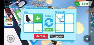 Oof N Pet Store Ideas Pet Dragon Adoption