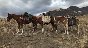 We are one of the smaller outfitters in the horse creek lodge is located just over a mile below the end of the mckenzie river trail, so we have a number of options available. Home Rand Creek Outfitters