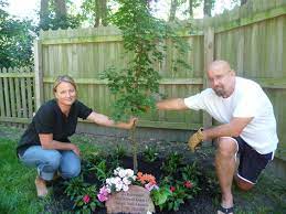 From Paradise To Plan B Happy Birthday Beautiful Daughter Pet Memorial Garden Memorial Garden Pet Memorial Garden Ideas