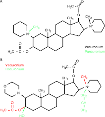 Image result for Malouetia bequaertiana