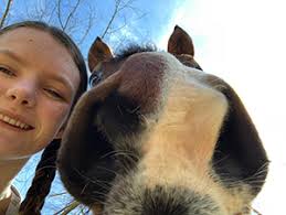 Zani's Furry Friends: