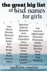 Below are some ideas for baby names that start with f based on data from the social security administration. The Great Big List Of Bird Names For Girls Appellation Mountain Female Character Names Last Names For Characters Fantasy Names