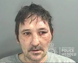 The frankly appalling excuses criminals in Wales have tried to use this  year