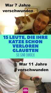 (viele katzen zieht es in ihr altes revier, wenn sie das neue zuhause noch nicht akzeptiert haben.) Verschwundene Katzen Finden Nach Jahren Den Weg Nach Hause Katzen Katzen Chippen Kleine Katzen