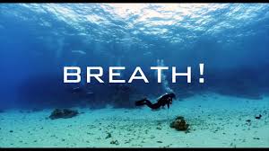 We dove down to check the anchor. Diving L W Compressors