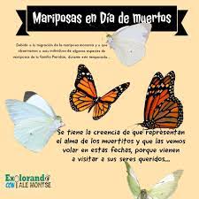 Pin En Infografias De Animales